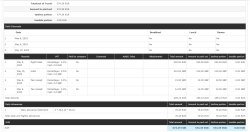 Workflow_Ausland_Vorgesetztensicht02