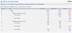 Projektzeit_erfassen_Abfrage_Einzelbuchungen_nein