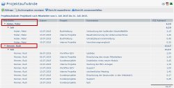 projektaufw&auml;nde_Ausgabe_Mitarbeiter