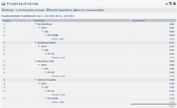 projektaufw&auml;nde_Ausgabe_Buchungselement