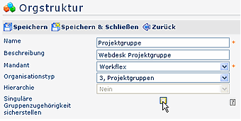 Projektgruppe_Orgstruktur