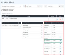 Korrektur Saldokonto im Korrektur-Client_Tagesansicht